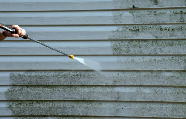 Best Patio and Deck Pressure Washing  in Boyceville, WI